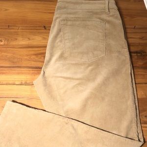Loft corduroy pants